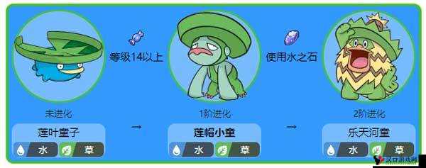 莲帽小童性格大揭秘,哪种性格最适合它?
