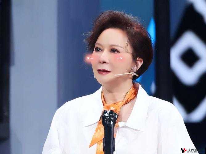 bgmbgmbgm 老妇 60 岁:一段特殊的人生经历