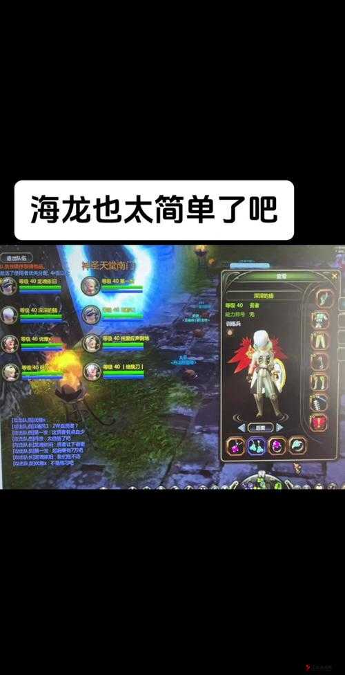 龙之谷手游海龙时装图鉴与属性介绍,资源管理、高效利用与最大化价值