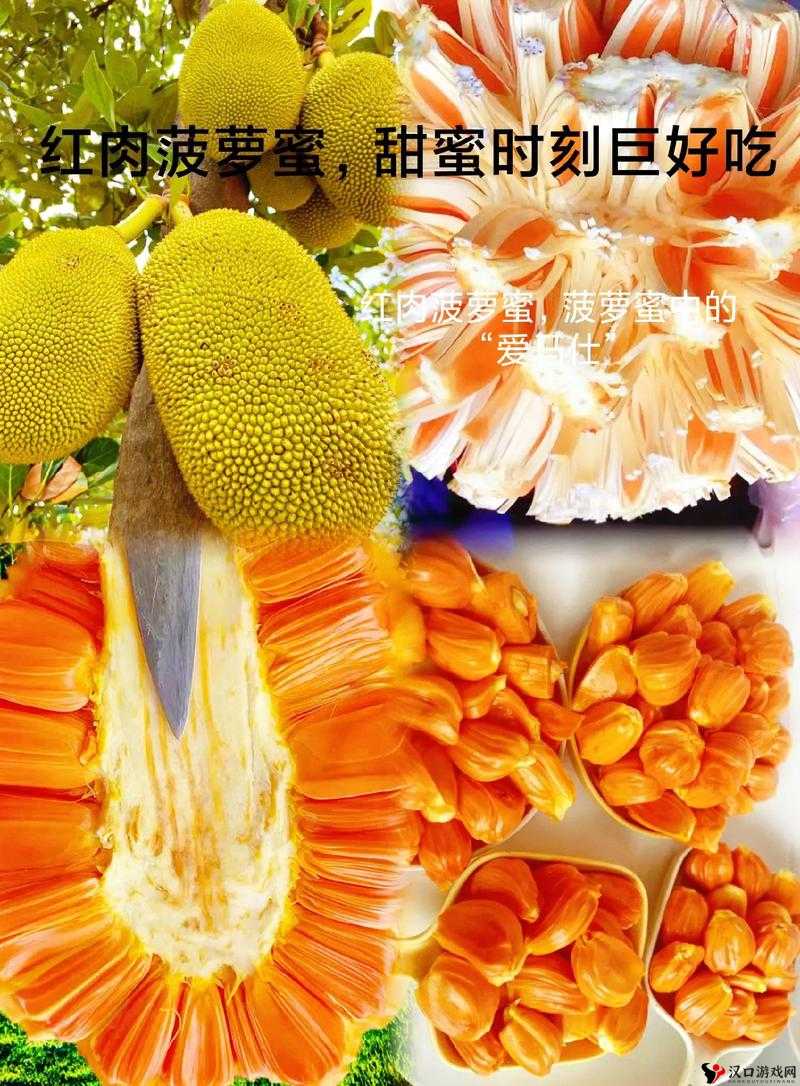 菠萝菠萝蜜免费高清视频:带你领略精彩的视觉盛宴