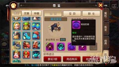 我叫MT3圣骑士加点秘籍,龟派圣骑士的加点艺术