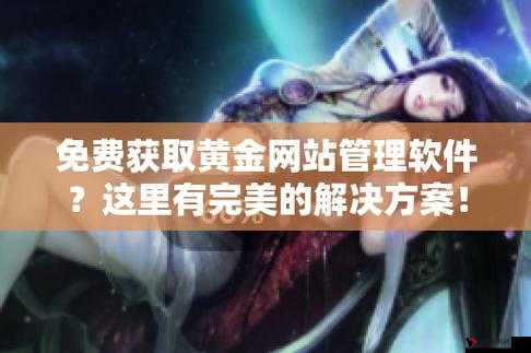 黄金网站 APP 在线观看：无尽的视觉盛宴等你来探索
