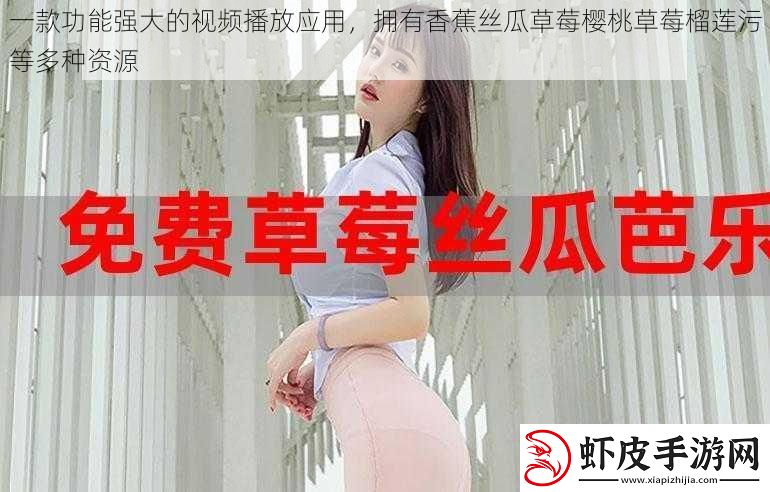 一款功能强大的视频播放应用