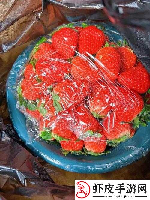 茄子丝瓜草莓榴莲石榴