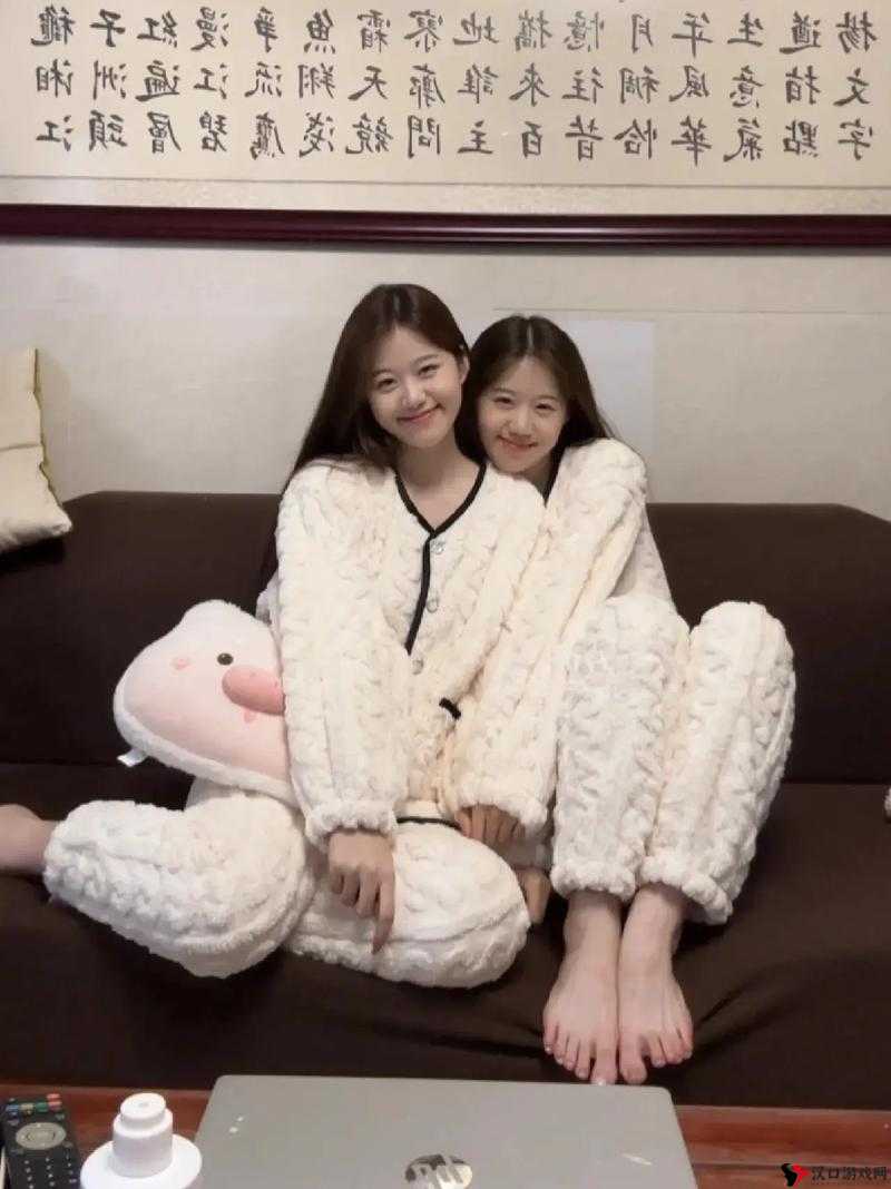 双胞胎姐妹同上阵:各抒己见,精彩纷呈