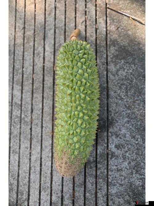 草莓香蕉秋葵黄瓜榴莲:美味蔬果的独特魅力与营养价值