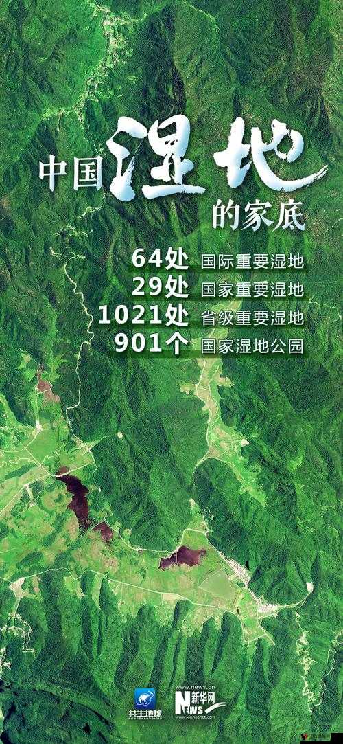 大地资源网 6:一个提供丰富资源信息的优质平台