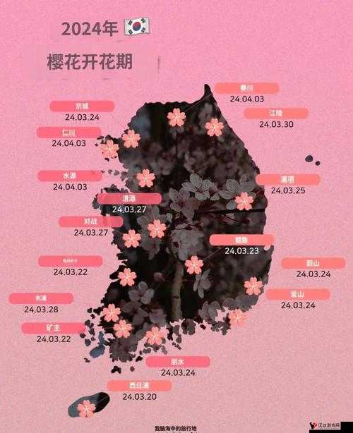 樱花官网官方入门网站 2024-提供最全面的信息与服务