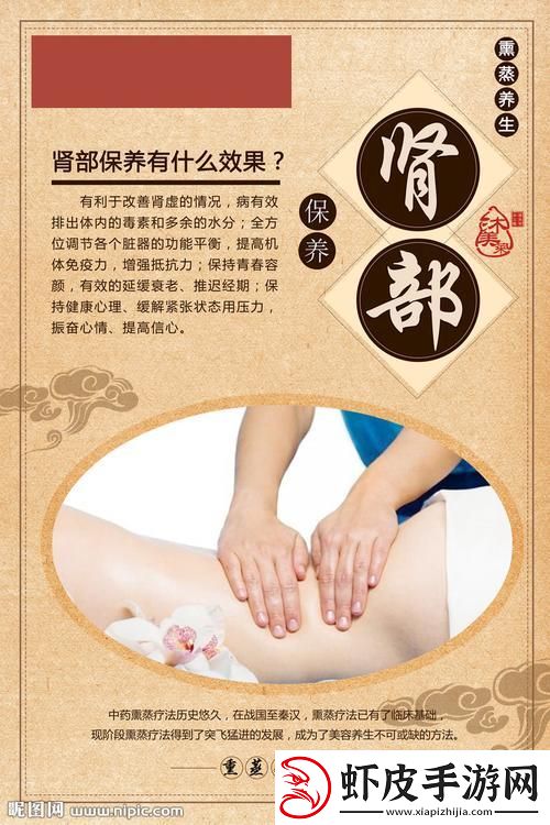 肾部保养