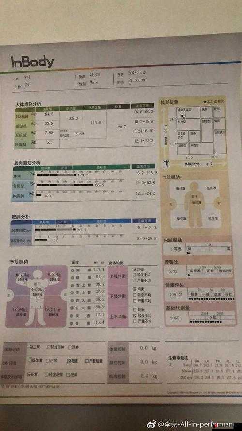 9988 色母做 CMDS 成分表及其详细解读与应用分析