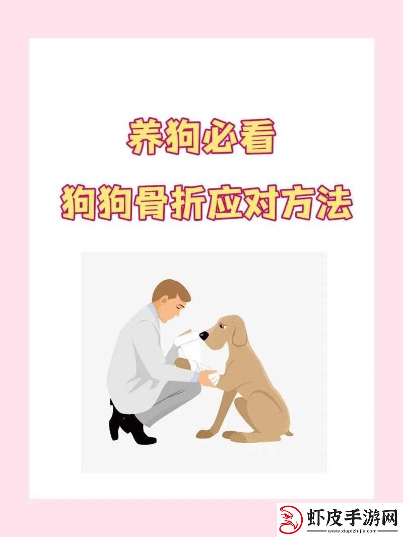 狗卡私处怎么办