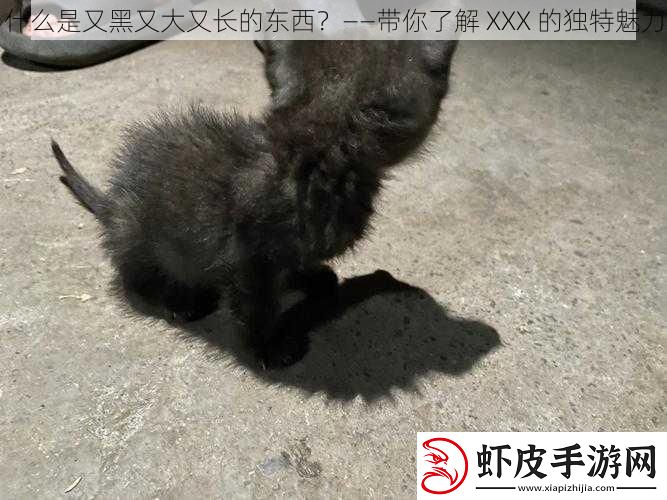 什么是又黑又大又长的东西