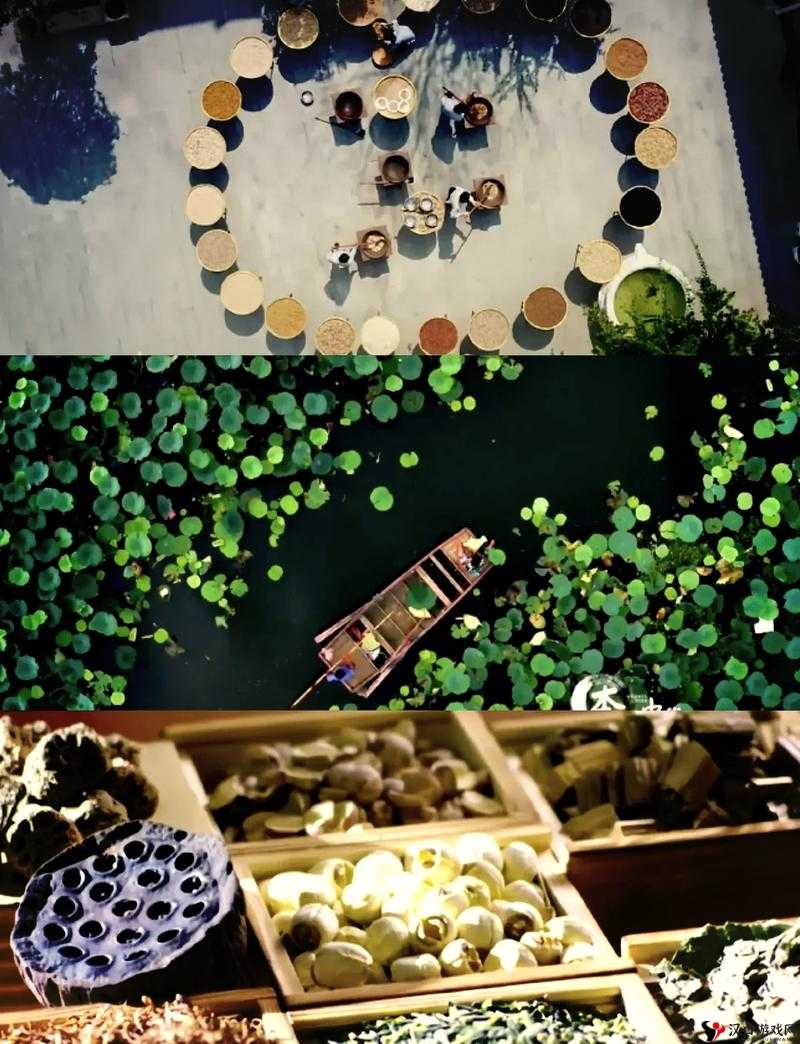 138 大但人文艺术豆瓣:探索艺术的奇妙世界