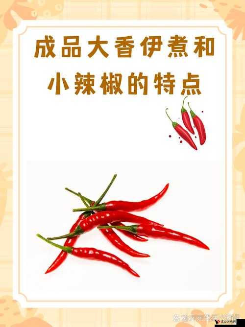 成品大香伊煮和小辣椒:调味与烹饪的完美搭配