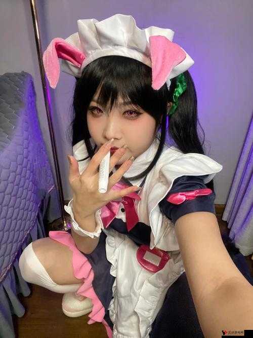 女仆逼逼的奇妙日常:一场充满惊喜与温馨的女仆故事