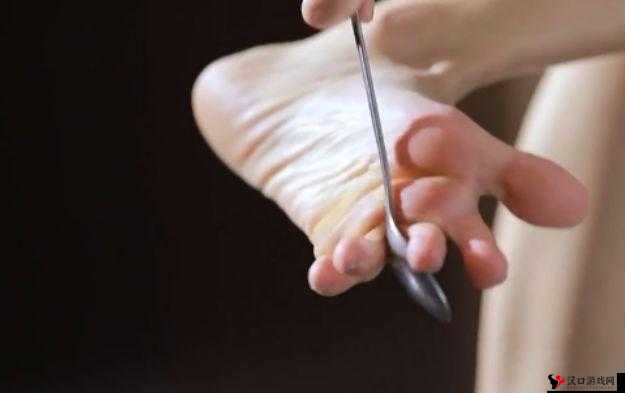 黑土那娴熟的腿法与精湛的脚法令人惊叹不已