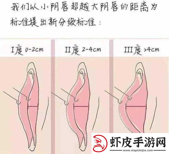女性私密部位展示相关