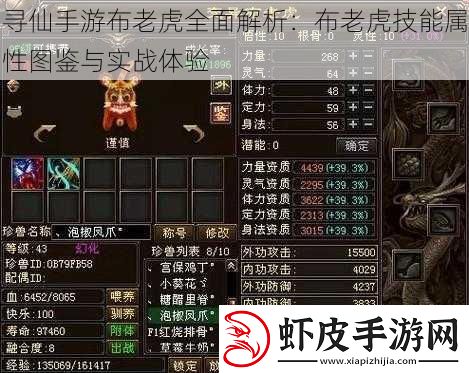 寻仙手游布老虎全面解析