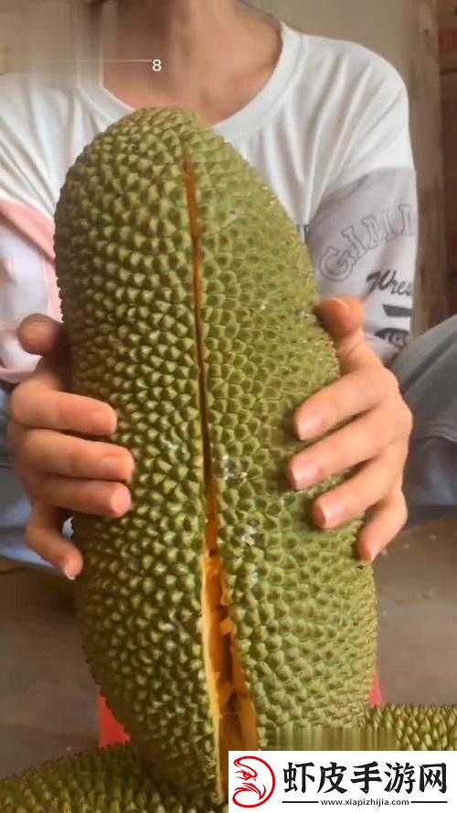 菠萝蜜视频在线观看大全高清
