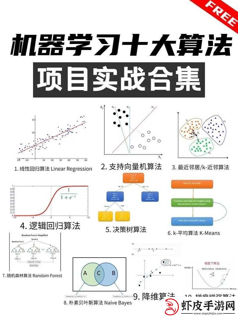 从入门到精通