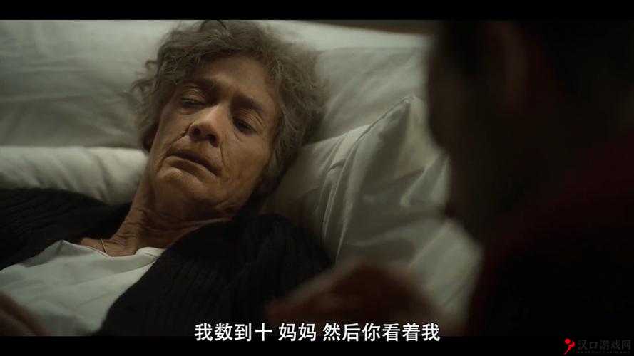 曰本 69XXX:一部充满争议的电影