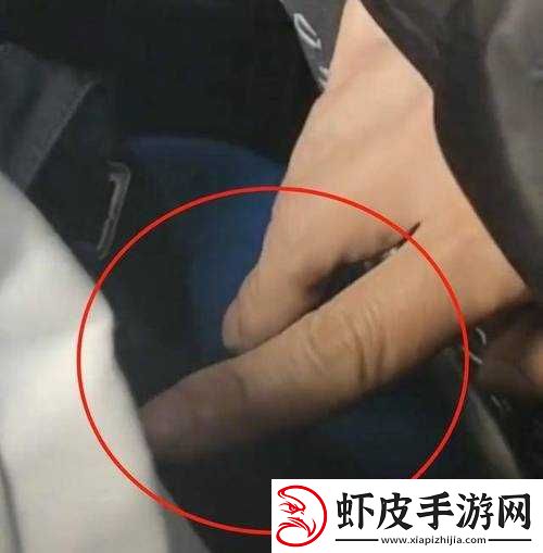 咸猪手出没