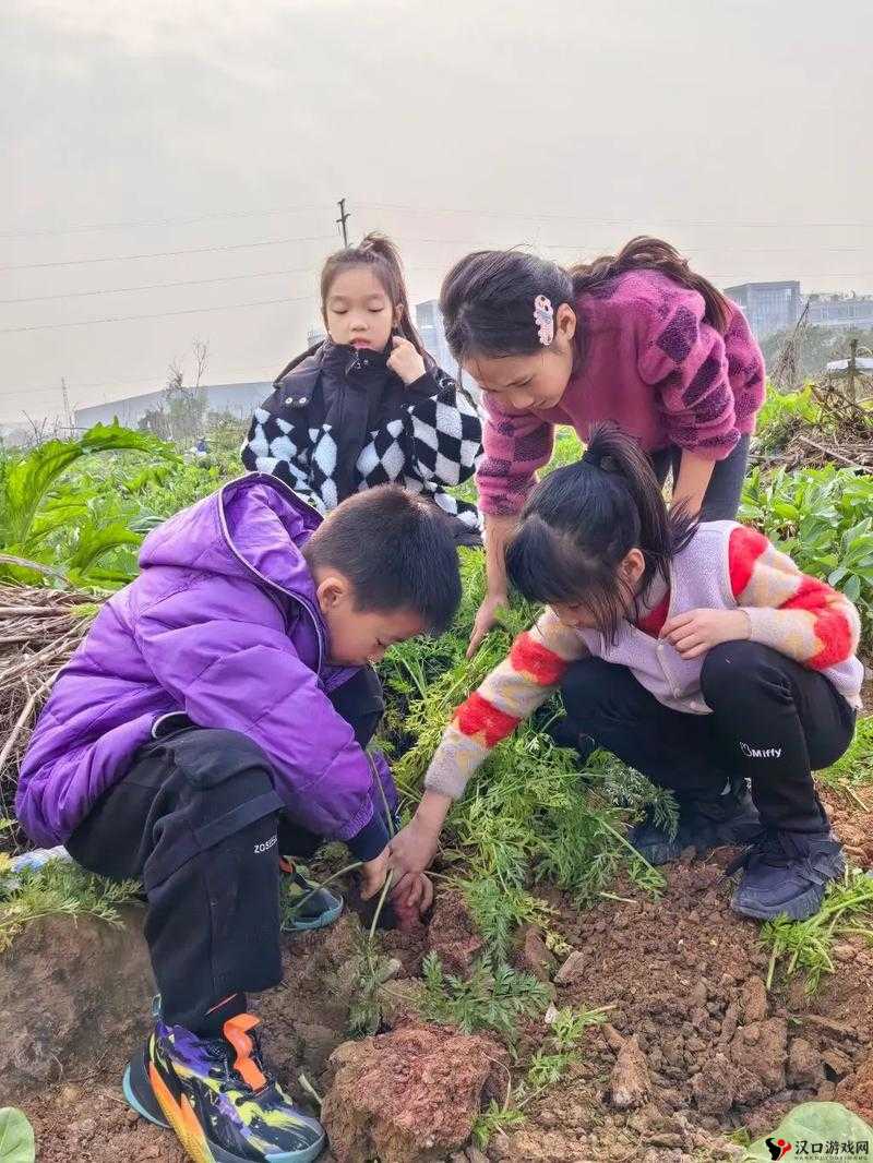 二人世界拔萝卜:开启温馨浪漫的田园时光