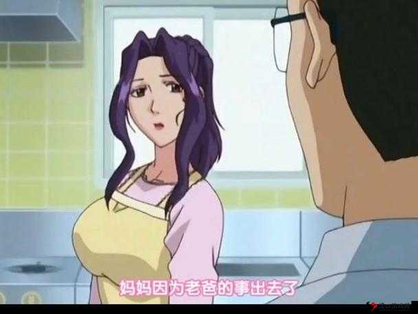 高嫁柳嫁家第二季:别样情感与精彩延续