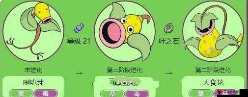 精灵宝可梦GO,探索口呆花的奇妙世界