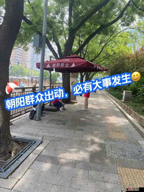 热心朝阳群众 51cgfun 最新网站相关信息