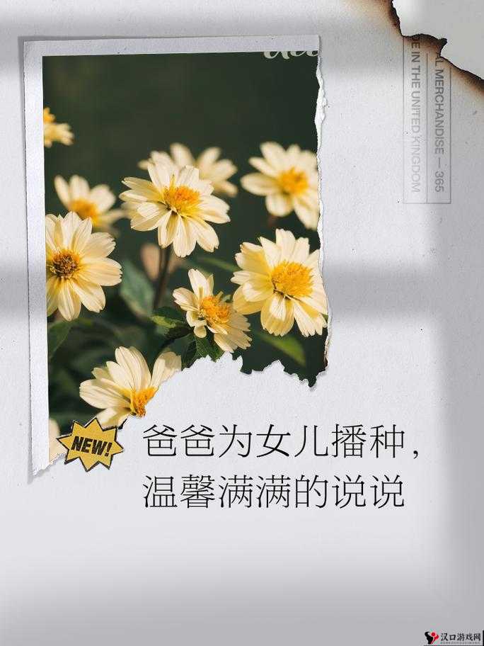 需要爸爸播种笔趣阁:带你走进奇妙的故事世界