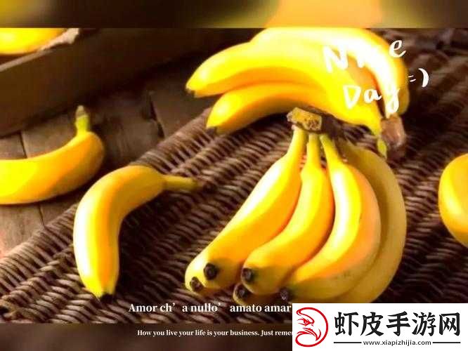 草莓香蕉榴莲黄瓜丝瓜茄子