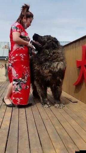 亚洲毛片人与兽相关内容不适合宣扬和传播