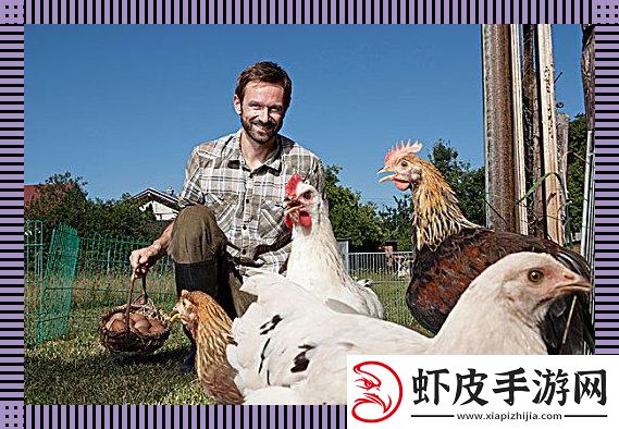 潮起禽落