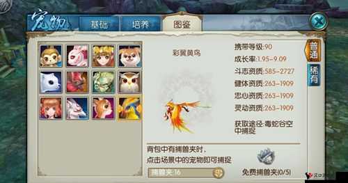 诛仙手游彩翼黄鸟怎么获得,获取捕捉方法介绍