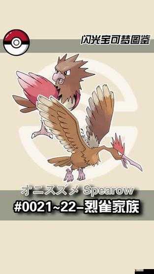 精灵宝可梦GO烈雀哪里抓?烈雀鸟坐标在哪里?