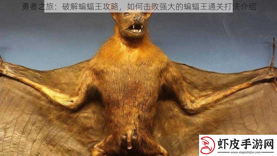 勇者之旅