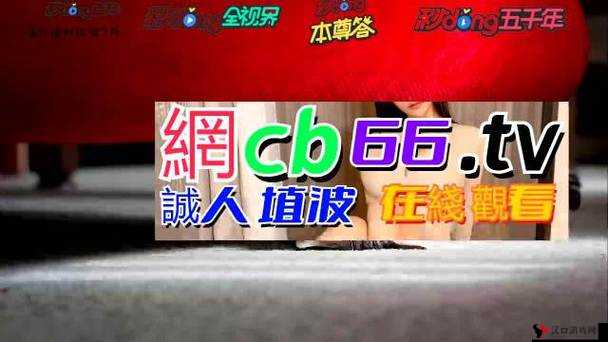 小青楼 APP:一款提供丰富多样功能的优质应用