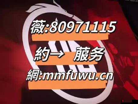 全国空降同城服务:优质高效便捷体验