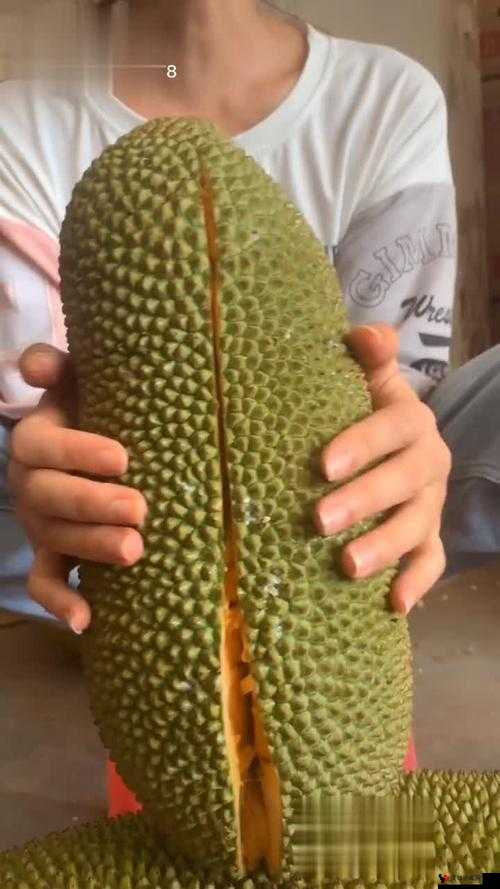 菠萝蜜视频免费播放高清：带来精彩无限的视听盛宴