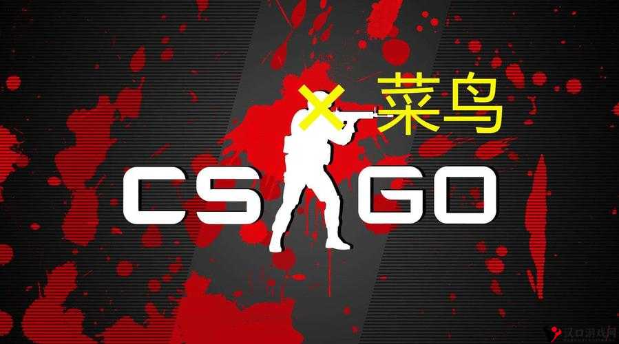 CSGO 免费播放电影网站大全:优质资源一网打尽