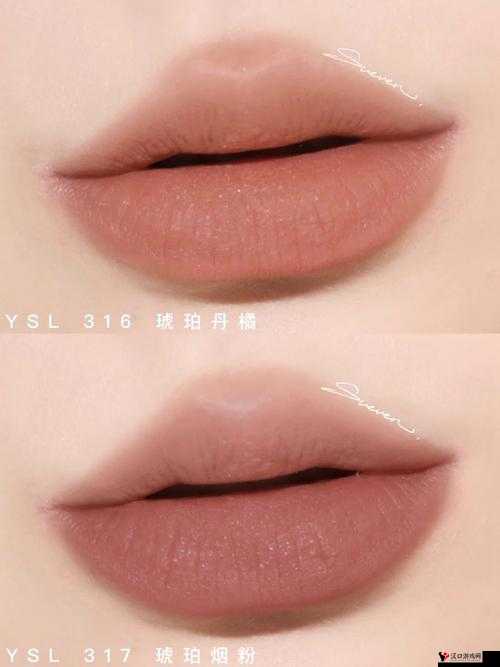 Ysl 千人千色 T9 有什么功能:全面解析