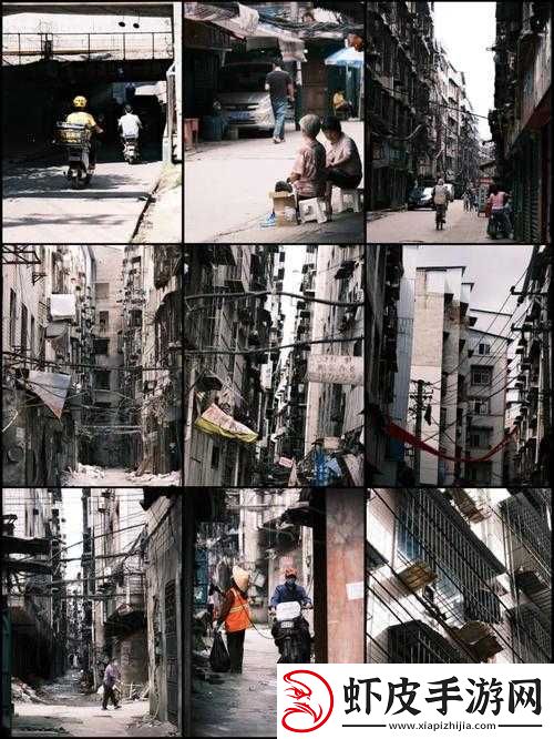 狗爷城中村国际在线观看