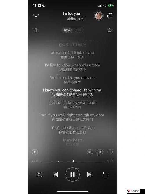 bgmbgmbgm 日本老妇人:岁月中的故事