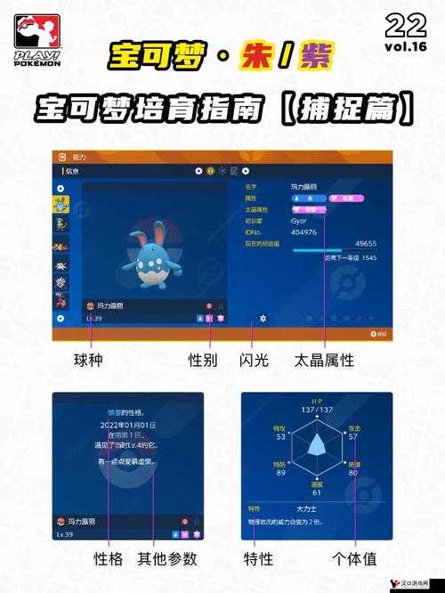 精灵宝可梦GO烈焰马坐标与捕捉策略,资源管理、高效技巧与避免浪费