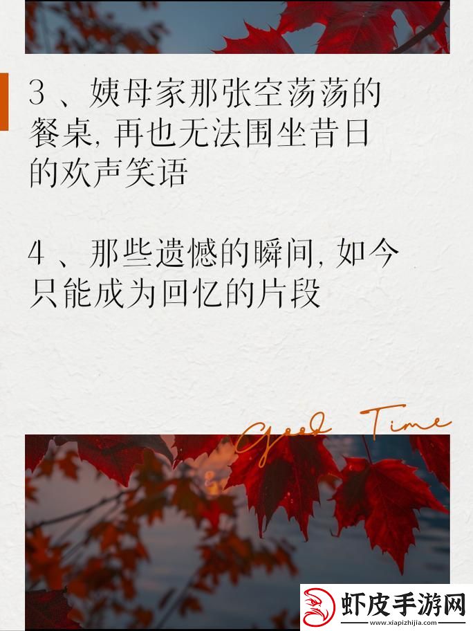 “姨母家的遗憾”