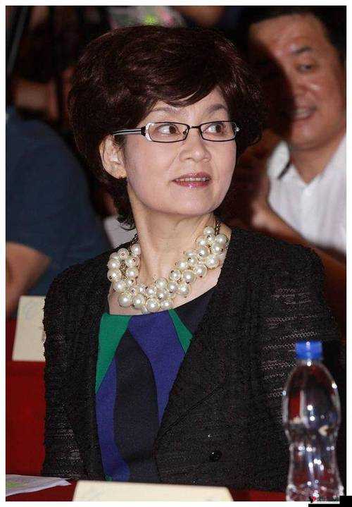 中国**内谢 69XXXXX 的别样精彩故事