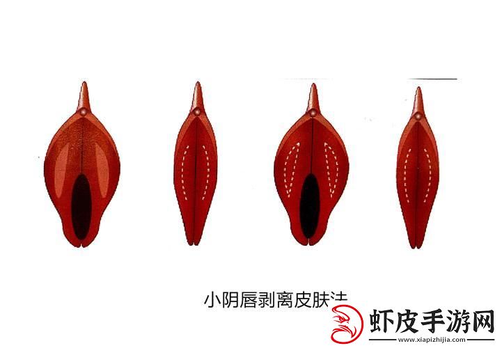 丰唇界的“缩阴”奇招
