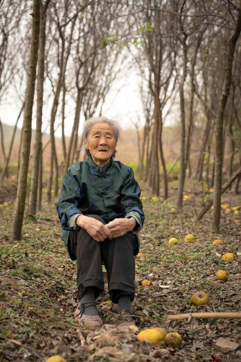 三个老奶奶 BGM:一段难忘的旋律记忆