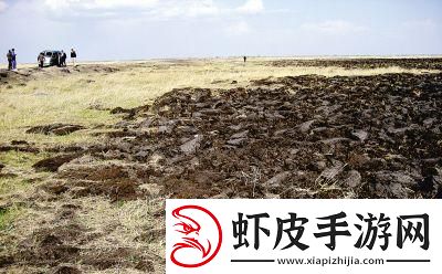 狂野开拓